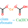 Calcium Hydrogen Carbonate